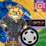 PADRÃO RODAS E AUTO CENTER