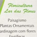 Floricultura Lar Das Flores